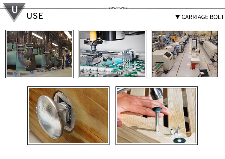 carriage-bolt-1-4_03