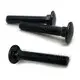  carriage bolts for deck beams  | Chuanghe Fastener 2