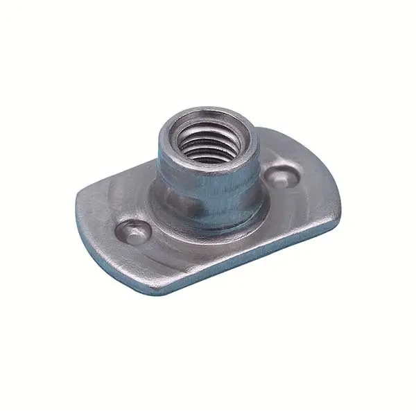 Chuanghe Fastener |  stainless t nuts 1 7