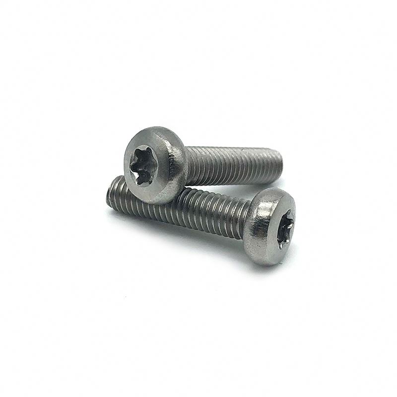 Chuanghe - China Supplier torx head captive stainless steel screws m3x8 Pan head screw 1