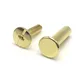 Custom rose gold chicago screws  Manufacturer | Chuanghe Fastener 3