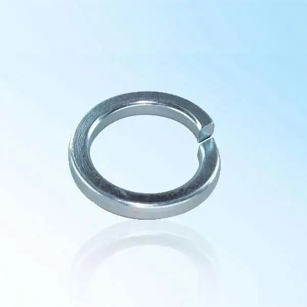 Chuanghe Fastener | latest wave spring washer manufacturers 3