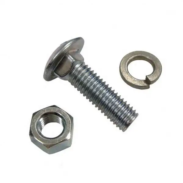  m6 carriage bolt  | Chuanghe Fastener 4