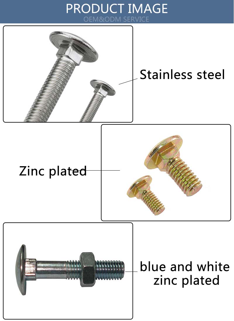 Chuanghe - China factory carriage bolts with hex nuts carriage bolts m3 Carriage bolt 8