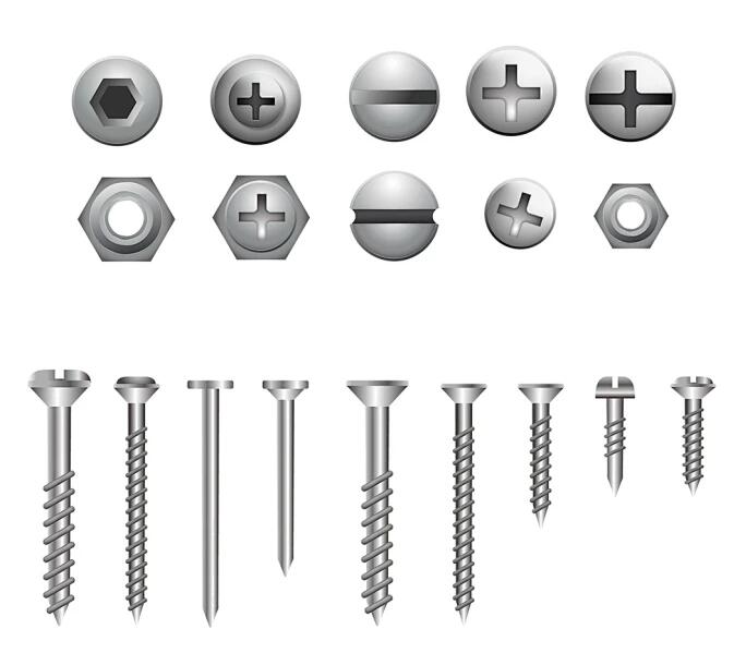 What Are the Different Types of Screw? 3