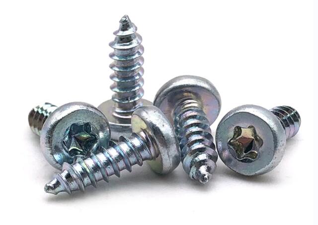 What Are the Different Types of Screw? 9