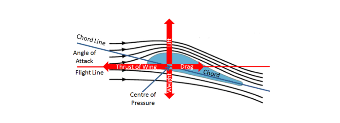Is it worth getting a Specialized Fasteners in High-Performance and Racing Cars? | Chuanghe Fastener 7