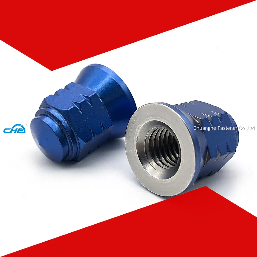 stainless t nuts at Wholesale Prices | Chuanghe Fastener 1
