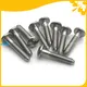 anti theft screw at Wholesale Prices | Chuanghe Fastener 1