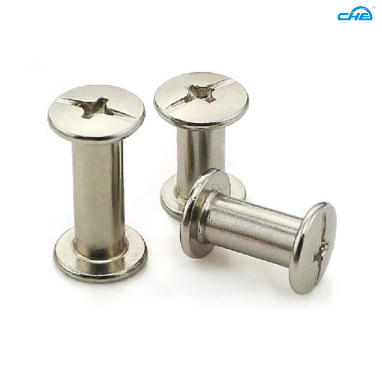 Chuanghe Fastener |  decorative chicago screws  1