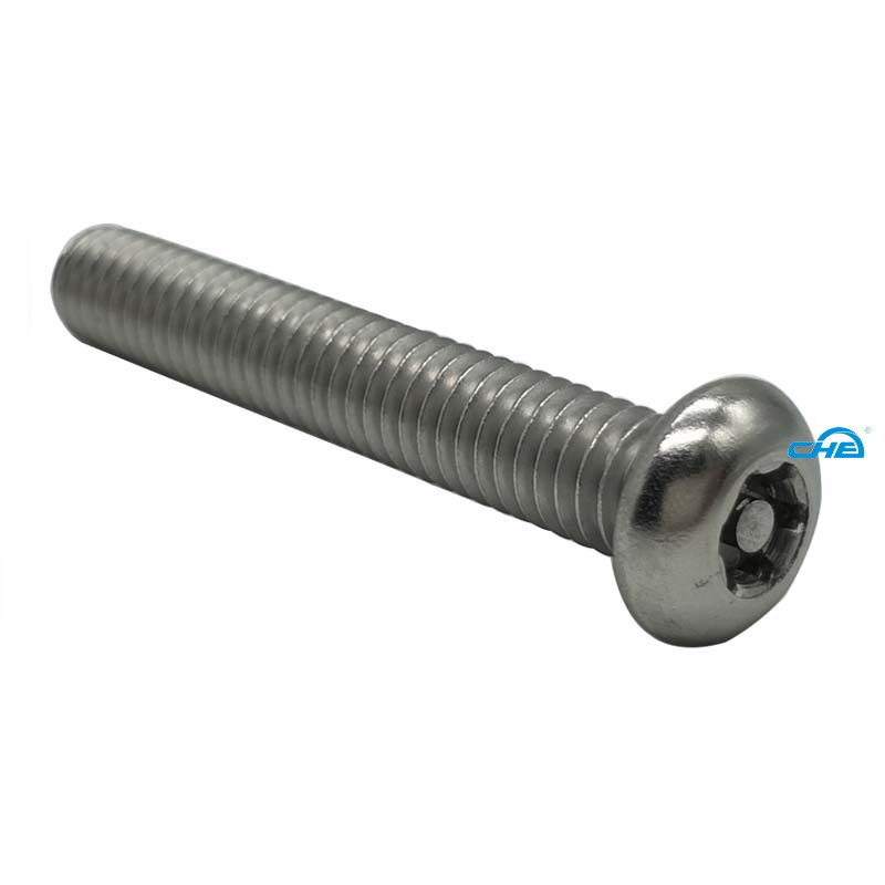 Chuanghe Fastener |  theft proof screws  1