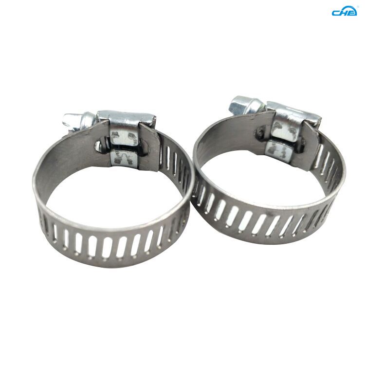 types of hose clamps at Wholesale Prices | Chuanghe Fastener 1