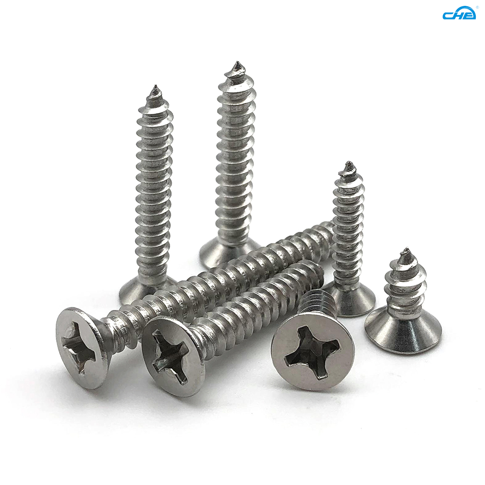 Chuanghe Fastener |  self thread screw 1 1
