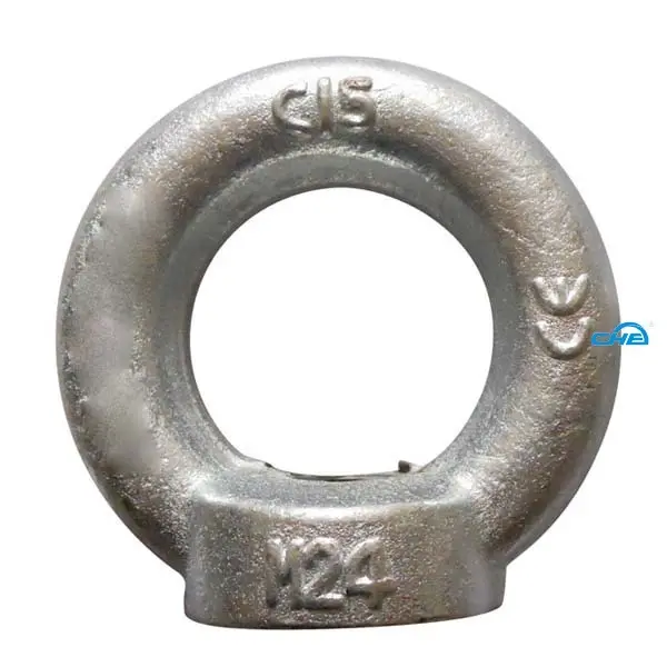 Chuanghe Fastener |  eye hook screw  1