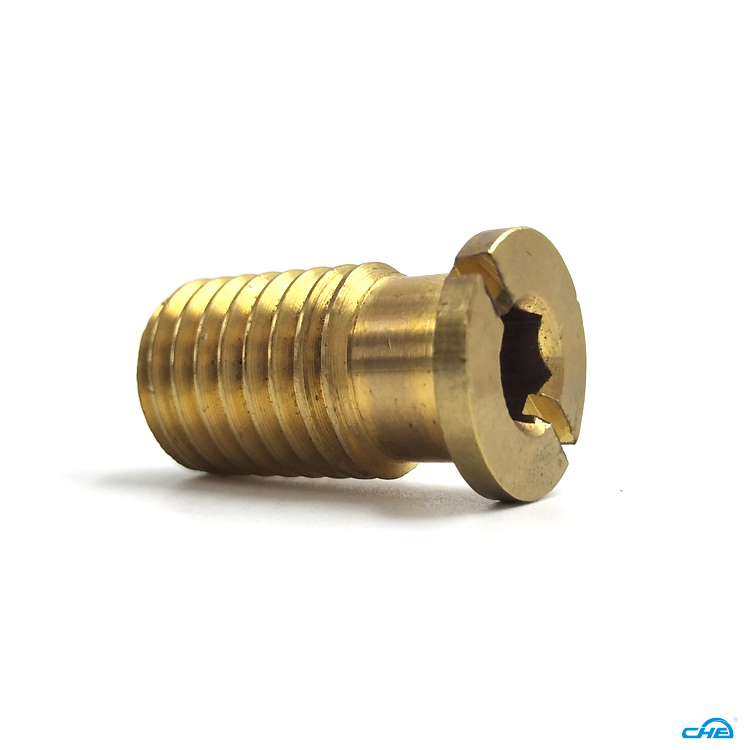 Custom screw used for motorcycle  Manufacturer | Chuanghe Fastener 1