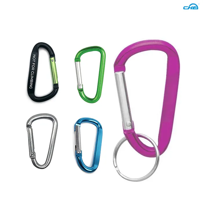 carabiner keychain at Wholesale Prices | Chuanghe Fastener 1