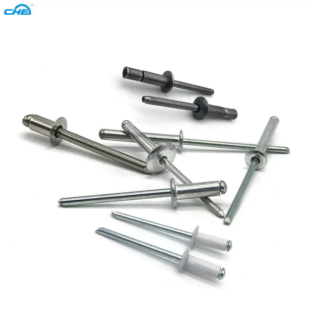 Custom stainless steel blind rivets  Manufacturer | Chuanghe Fastener 1