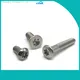 custom theft proof license plate screws supply | Chuanghe Fastener 1