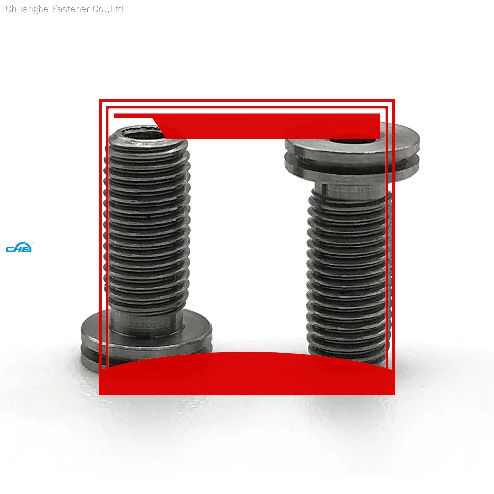 custom hollow screw supply | Chuanghe Fastener 1