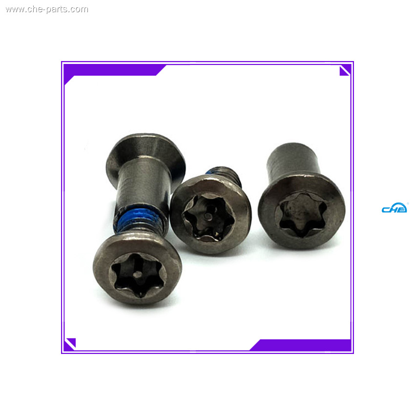 Custom chicago screws for leather producer Manufacturer | Chuanghe Fastener 1