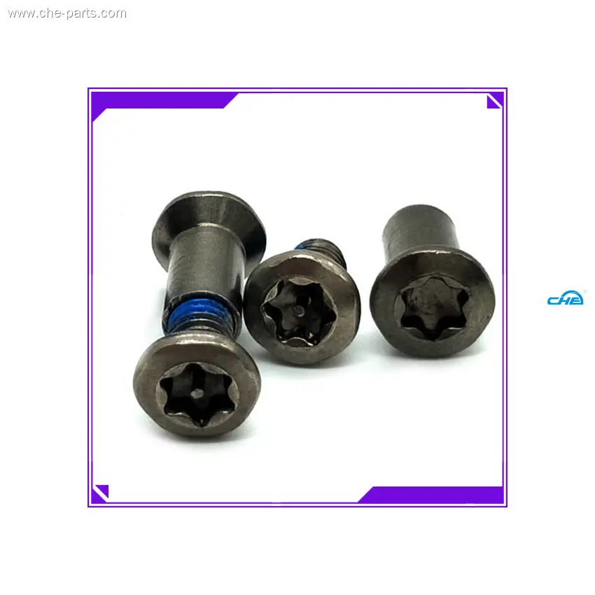 Custom chicago screws for leather producer Manufacturer | Chuanghe Fastener 1