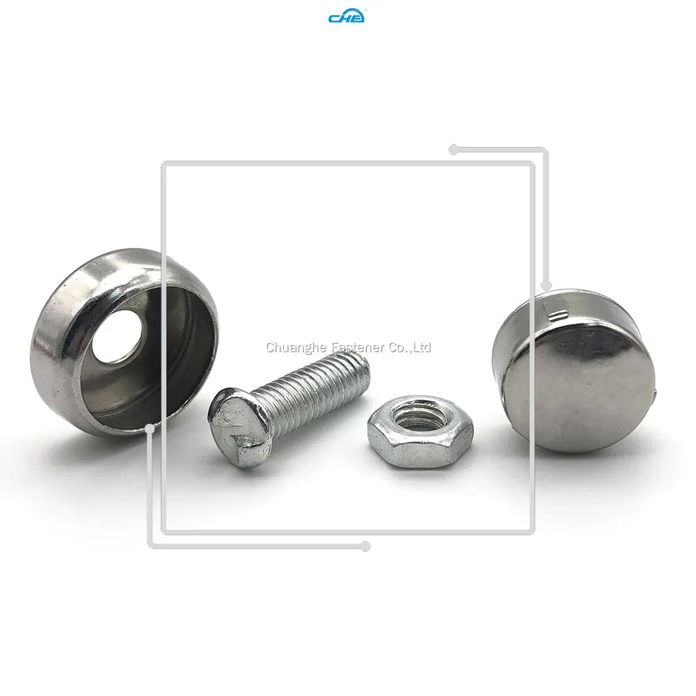 Custom anti theft plate screws producer Manufacturer | Chuanghe Fastener 1
