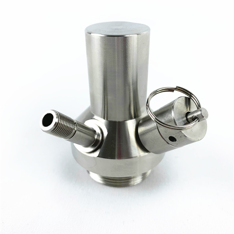 Nouveau robinet de brassage en acier inoxydable 304 pour fûts de bière artisanale (2 l/3,6 l/4 l/5 l/10 l) avec tireuse à bière miniature. 3
