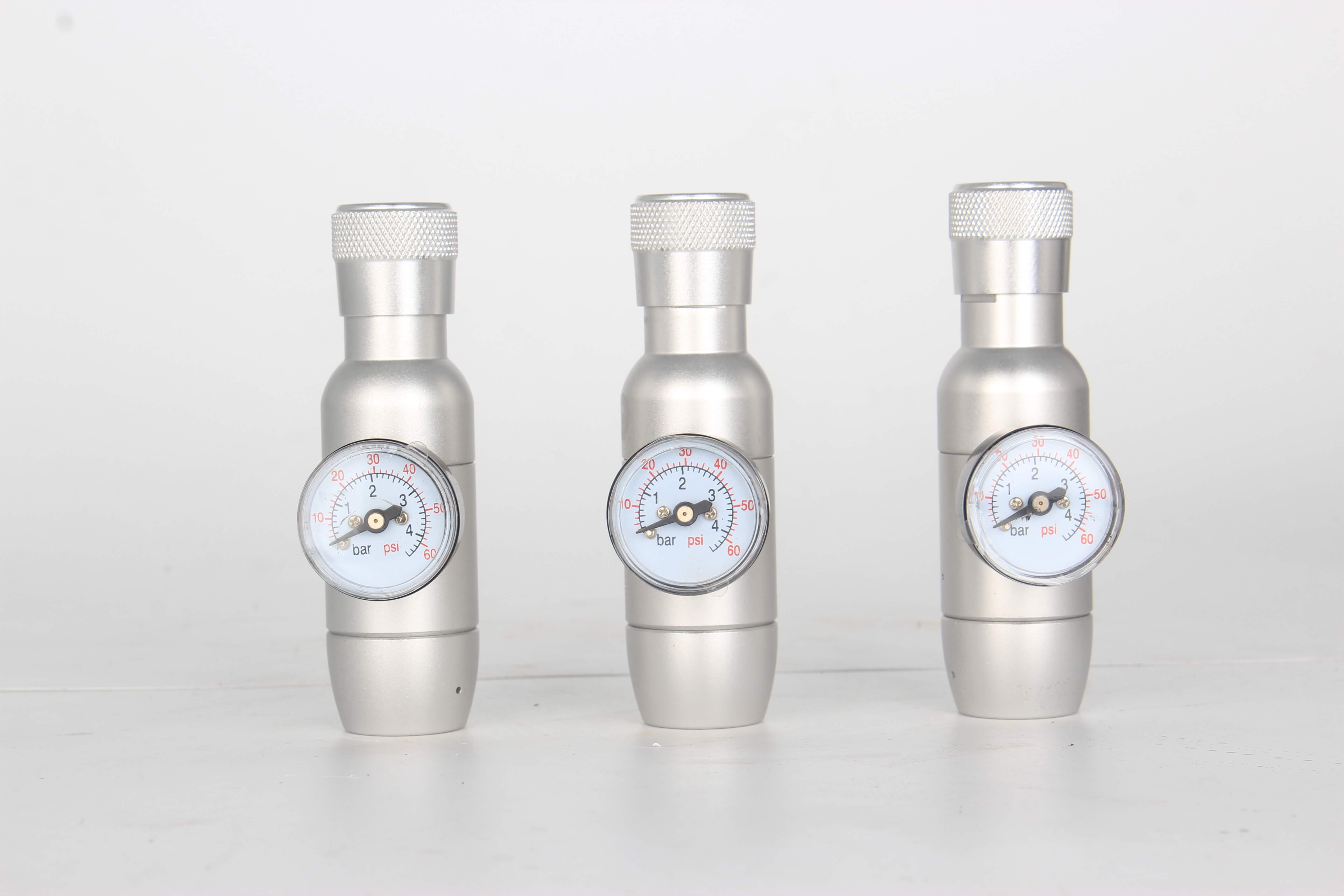 Mini-fût de 5 l, carbonatation à 60 psi, bouchon de prix, growler en acier inoxydable 304, lance à bière 6