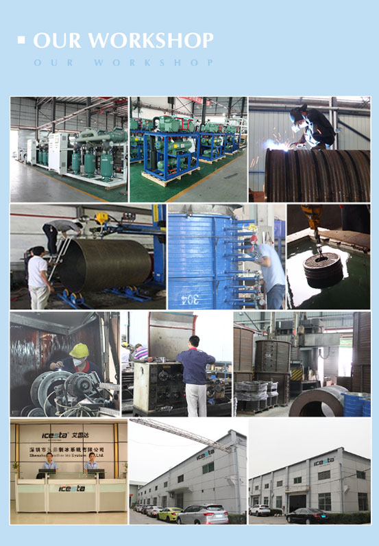 Ice Flake Making Machine Quality Icesta 10 Ton Industrial Containerized from ICESTA 33