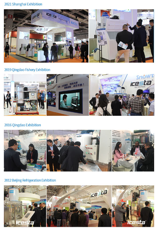 Ice Flake Making Machine Quality Icesta 10 Ton Industrial Containerized from ICESTA 34