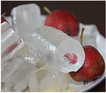 Tube ice machine with 10t Air Cooling Stainless Steel For Food Processing Industry / Cold Drinks 16