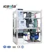 ICESTA Tube Ice Machine: High-Quality Stainless Steel, Custom Output 1-100 tons 2