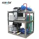 High Quality Stainless Steel Tube Ice Maker - 1-10-15 Ton - Corrosion Resistant - Customizable Specifications 5