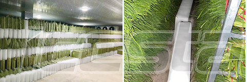 ICESTA Direct Cooling Block Ice Machine with 25 tons per day Automatic High Productivity Long Service Life 24