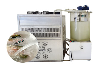 Ice Flake Making Machine Quality Icesta 10 Ton Industrial Containerized from ICESTA 28