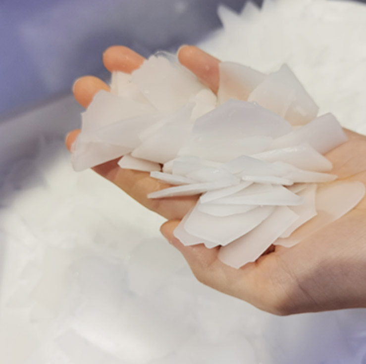 Ice Flake Making Machine Quality Icesta 10 Ton Industrial Containerized from ICESTA 18