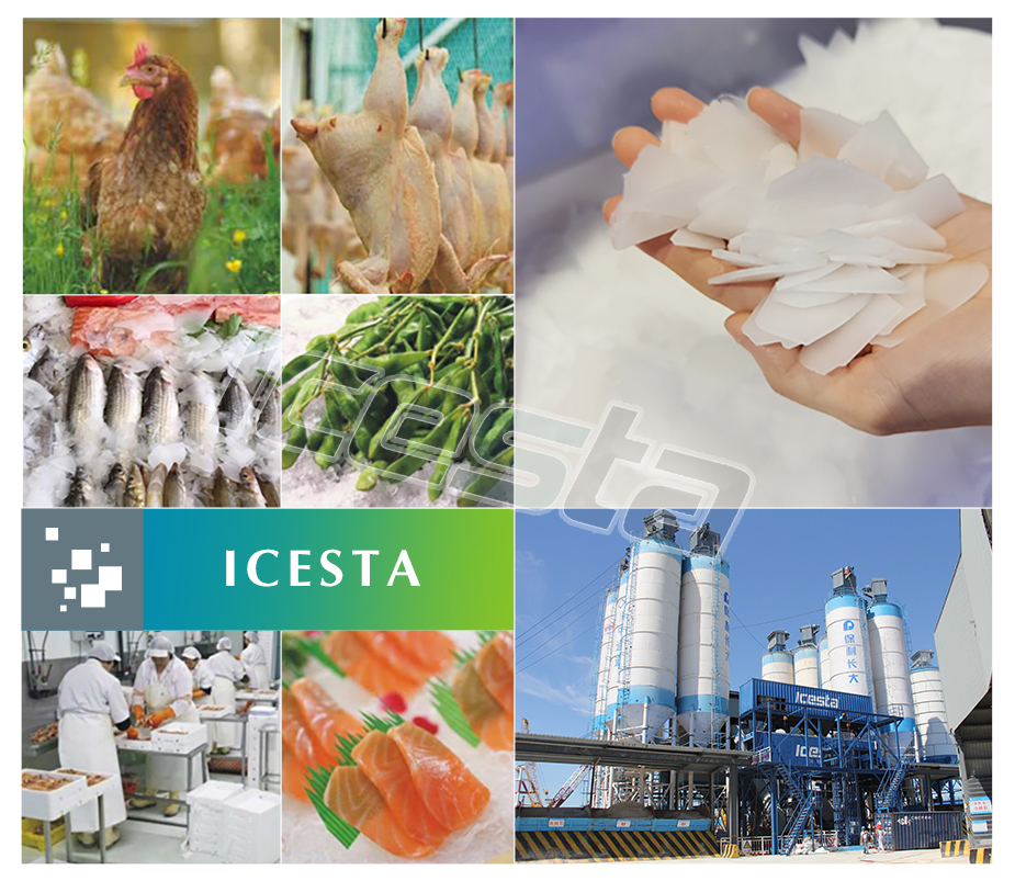 ICESTA Flake Ice Machine with 20 25 30 Ton Industrial automatic high productivity Long Service Life 17