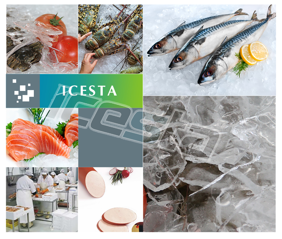 5 tons plate ice machine Manufacturer Quality Icesta | Brother Ice System 9