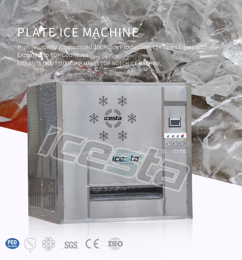 5 tons plate ice machine Manufacturer Quality Icesta | Brother Ice System 8