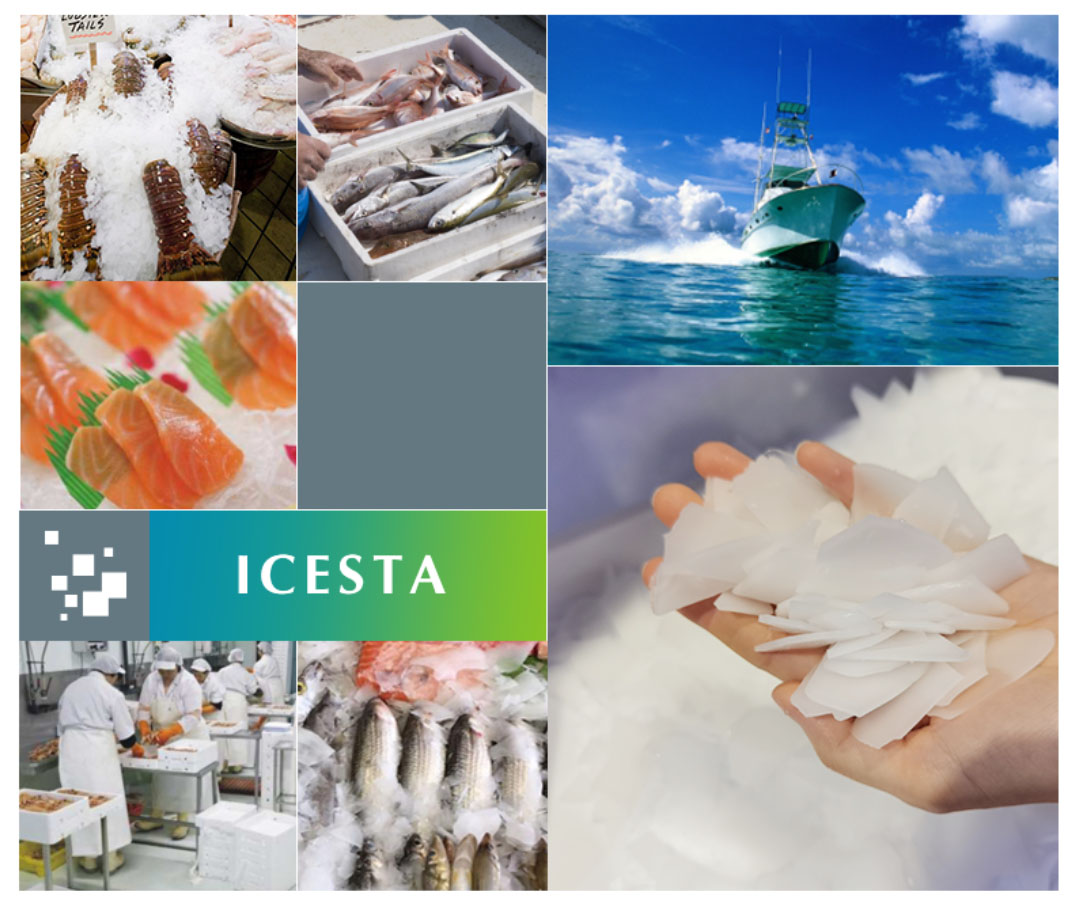 Quality Icesta Sea water flake ice machine for fish 1-5t Manufacturer | Brother Ice System 3