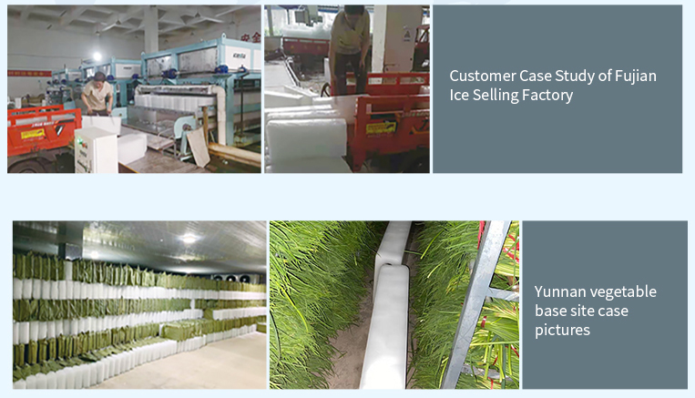Direct Cooling block ice machine 10 tons daily Customized in Icesta From China 18