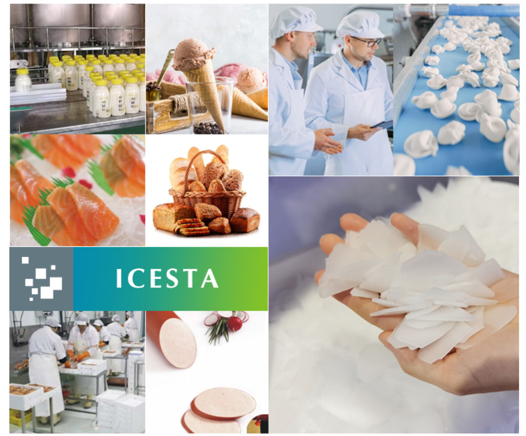 High Quality Edible stainless steel flake ice machine 1-2t for meat sausage Company 9