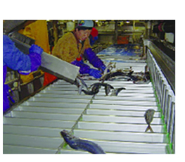 Low temp Plate freezer Condensing unit from ICESTA 20