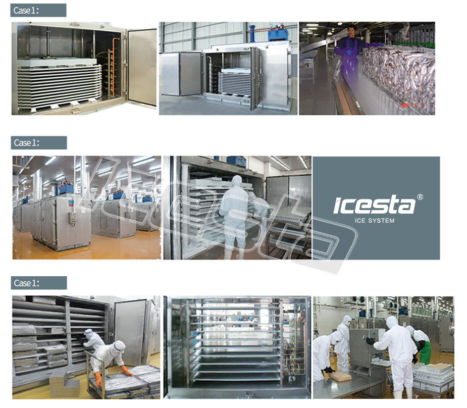 Low temp Plate freezer Condensing unit from ICESTA 28