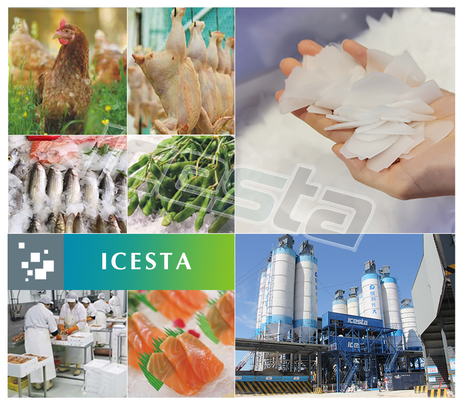 All-In-One Containerized Plate Ice Plant & Auto Storing & Delivery System with 30t -  80t  For concrete cooling 18