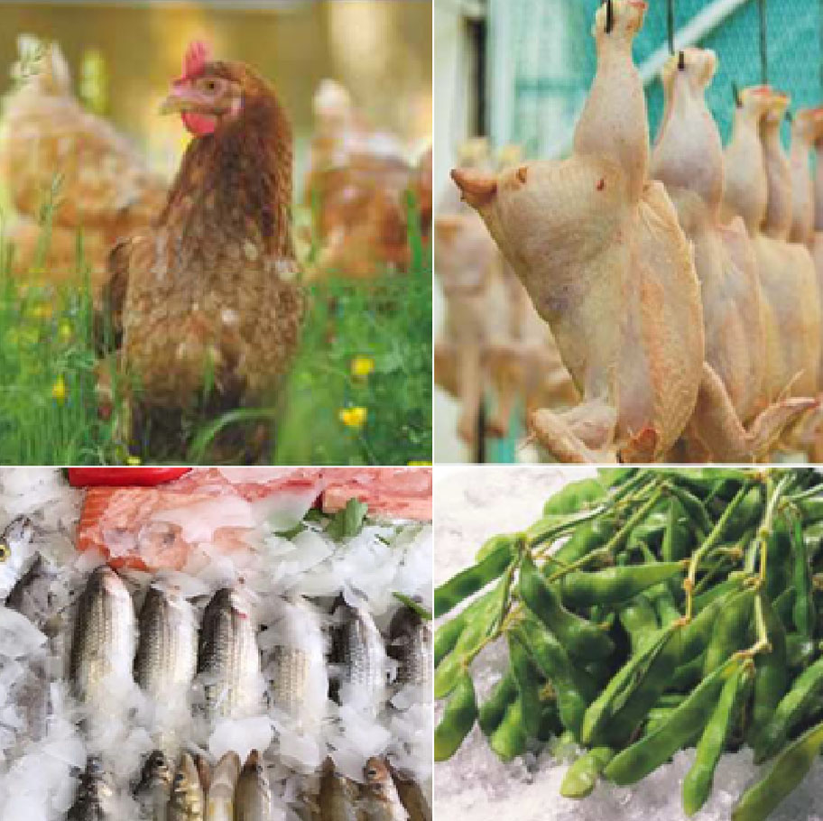 Industrial flake ice machine food grade stainless steel from ICESTA 37