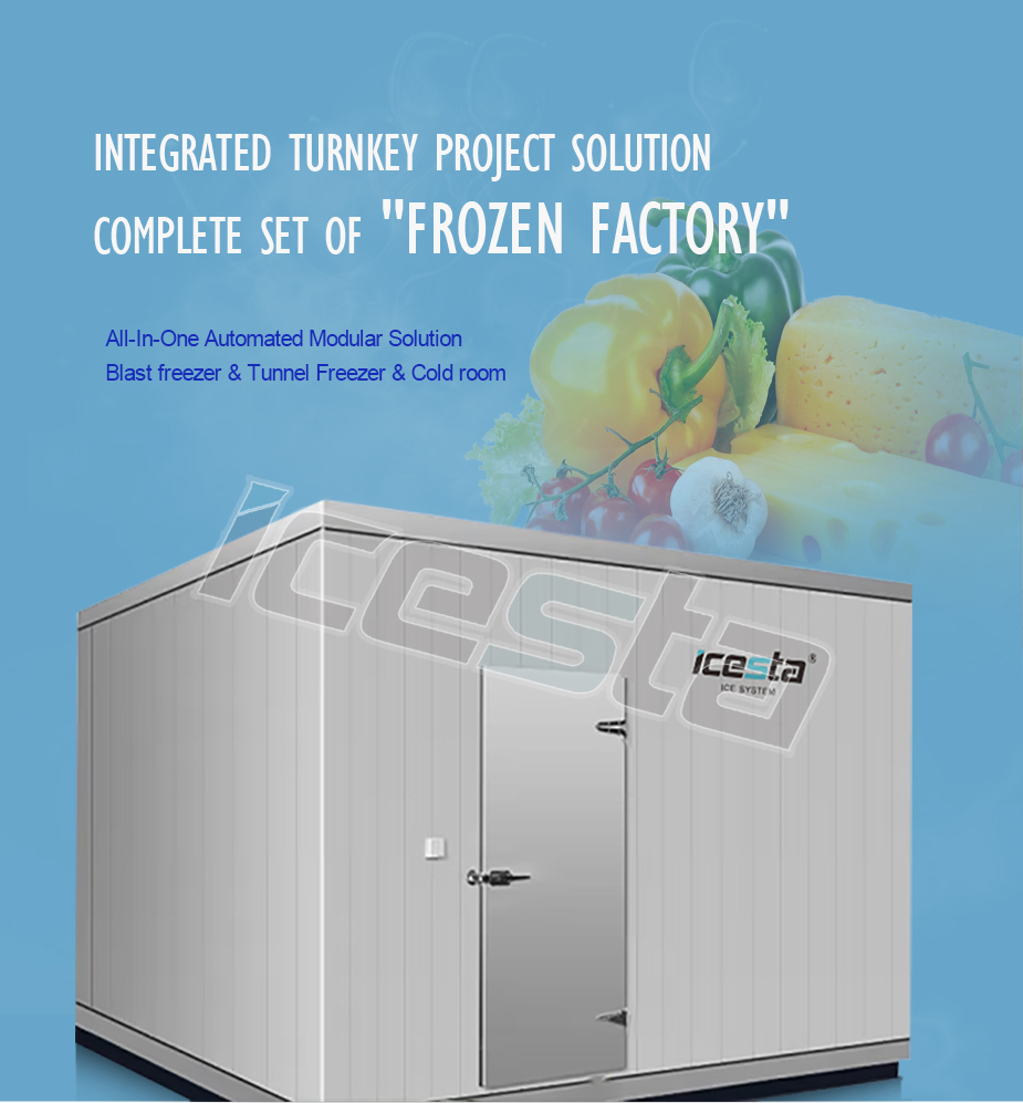 Cold room Cold Storage Equipment Customized For Sale | ICESTA Ice System 8