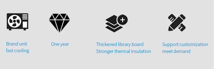 Cold room Cold Storage Equipment Customized For Sale | ICESTA Ice System 10