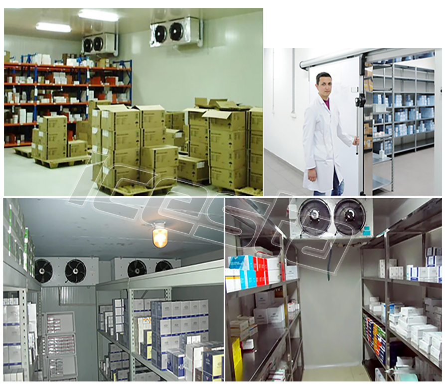 Cold room Cold Storage Equipment Customized For Sale | ICESTA Ice System 27