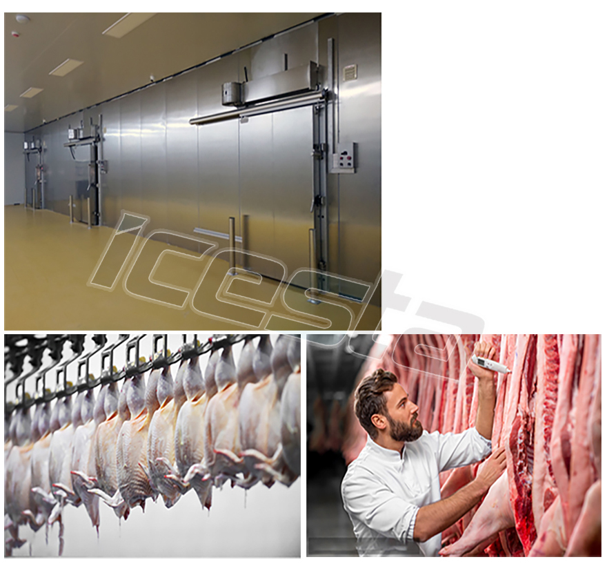 Cold room Cold Storage Equipment Customized For Sale | ICESTA Ice System 29